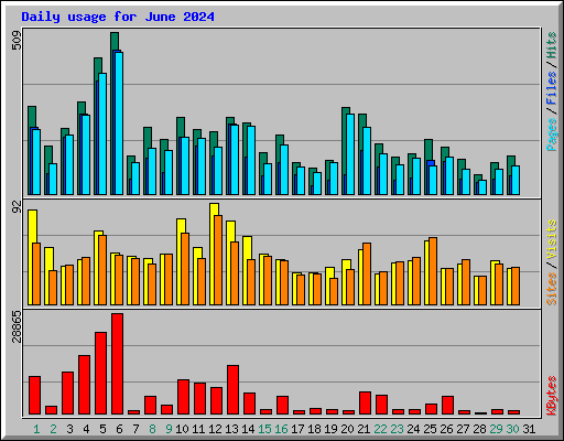 Daily usage for June 2024