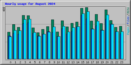 Hourly usage for August 2024