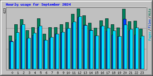 Hourly usage for September 2024