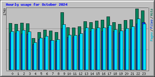 Hourly usage for October 2024