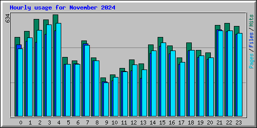 Hourly usage for November 2024